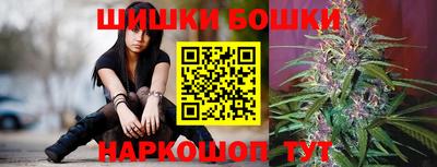 прущие крисы Новокубанск