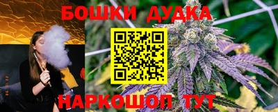 прущие крисы Новокубанск