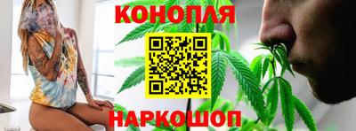 мяу мяу мука Новодвинск