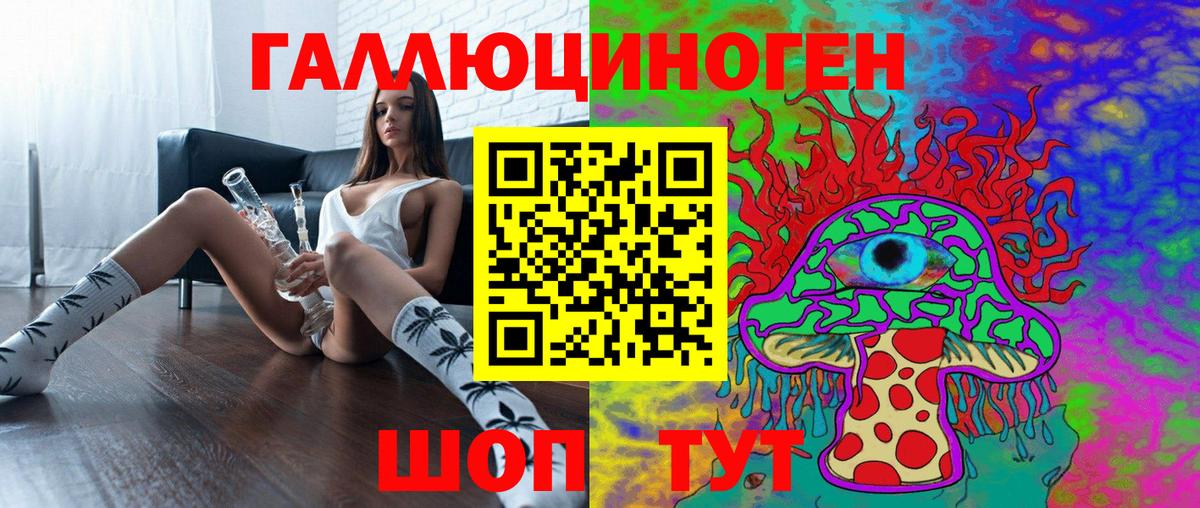 Псилоцибиновые грибы Psilocybine cubensis Среднеуральск