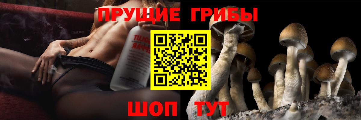 Псилоцибиновые грибы ЛСД  Вход с VPN  Среднеуральск 
